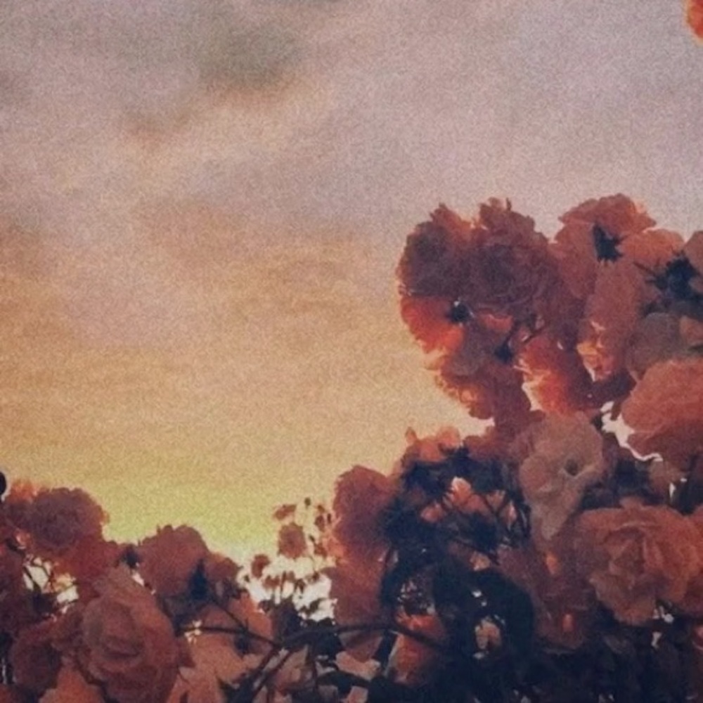 Meet your Posher, Ruhani